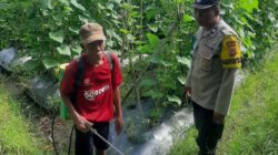 Peran Polri di Montong Are dalam Ketahanan Pangan Nasional