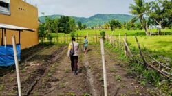 Polri Aktif di Ladang Petani Kediri, Dorong Kesejahteraan dan Ketahanan Pangan