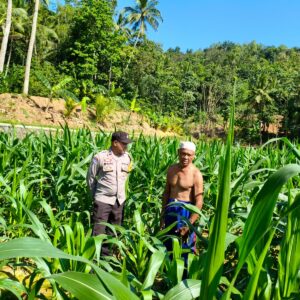 Bhabinkamtibmas Mareje Timur Dampingi Petani Jelang Musim Tanam