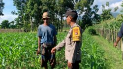 Sinergi Polri dan Petani Gerung dalam Wujudkan Ketahanan Pangan