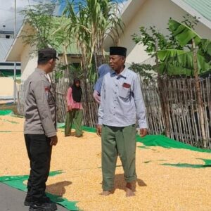 Dukung Program Ketahanan Pangan, Bhabinkamtibmas Desa Daha Laksanakan Pemantauan Hasil Panen Jagung Warga
