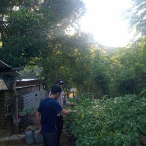 Bhabinkamtibmas Desa Senayan Galakkan Pemanfaatan Pekarangan untuk Tanaman Pangan Bergizi