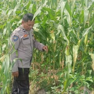 Polisi Dukung Petani: Sinergi Jaga Kamtibmas dan Pangan di Desa Beleka