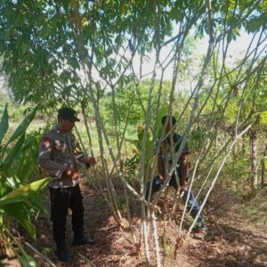 Semarak HUT Bhayangkara Ke-79, Polsek Soromandi Ikuti Lomba Pekarangan Pangan Bergizi