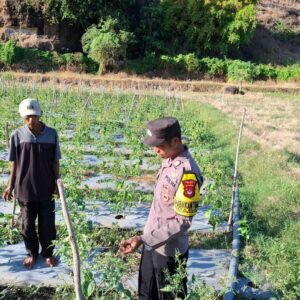 HUT Bhayangkara Ke-79, Polsek Soromandi Polres Bima Dorong Ketahanan Pangan Lewat Lomba Pekarangan Pangan Bergizi