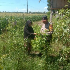 Bhabinkamtibmas Rhee Dampingi Warga Manfaatkan Pekarangan untuk Ketahanan Pangan