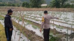 Bhabinkamtibmas Desa Senayan Dampingi Pengelolaan Pekarangan Pangan Bergizi untuk Dukung Ketahanan Pangan