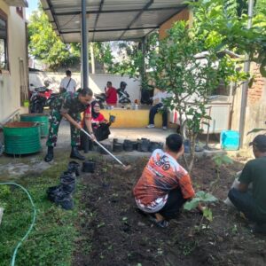Babinsa Punia dan Lurah Sinergi Tanam Cabai, Wujudkan Lingkungan Hijau dan Mandiri Pangan