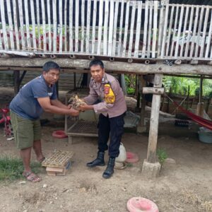 Jelang Hari Bhayangkara ke-79, Brigadir Kamaludin Bagikan 100 Bibit Ternak dan 1.000 Bibit Tanaman Bergizi kepada Warga Desa Sermong