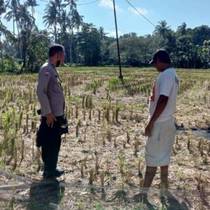 Warga Kuripan Didorong Mandiri Pangan Lewat Pekarangan