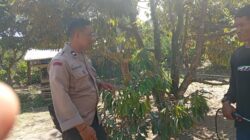 Ketahanan Pangan Desa Merembu Didorong Lewat Jalan Usaha Tani Baru