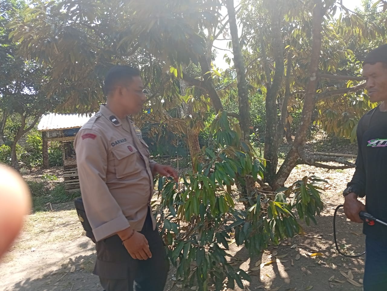Ketahanan Pangan Desa Merembu Didorong Lewat Jalan Usaha Tani Baru