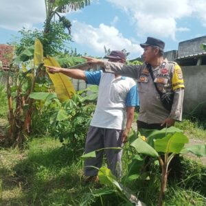 Dusun Dawung Gerakkan Swasembada Pangan dari Pekarangan Rumah