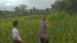 Ketahanan Pangan dan Keamanan Diperkuat di Sekotong Tengah Lewat DDS Bhabinkamtibmas