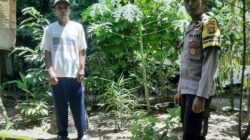 Batulayar Tunjukkan Peran Aktif Warga dalam Ketahanan Pangan Lokal