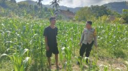 Bhabinkamtibmas Cendi Manik Dukung Ketahanan Pangan Lewat DDS di Sekotong