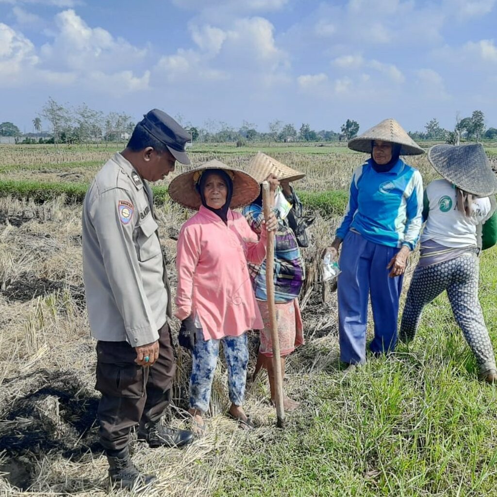 Polri Dukung Swasembada Pangan, Bhabinkamtibmas Montong Are Gandeng Petani