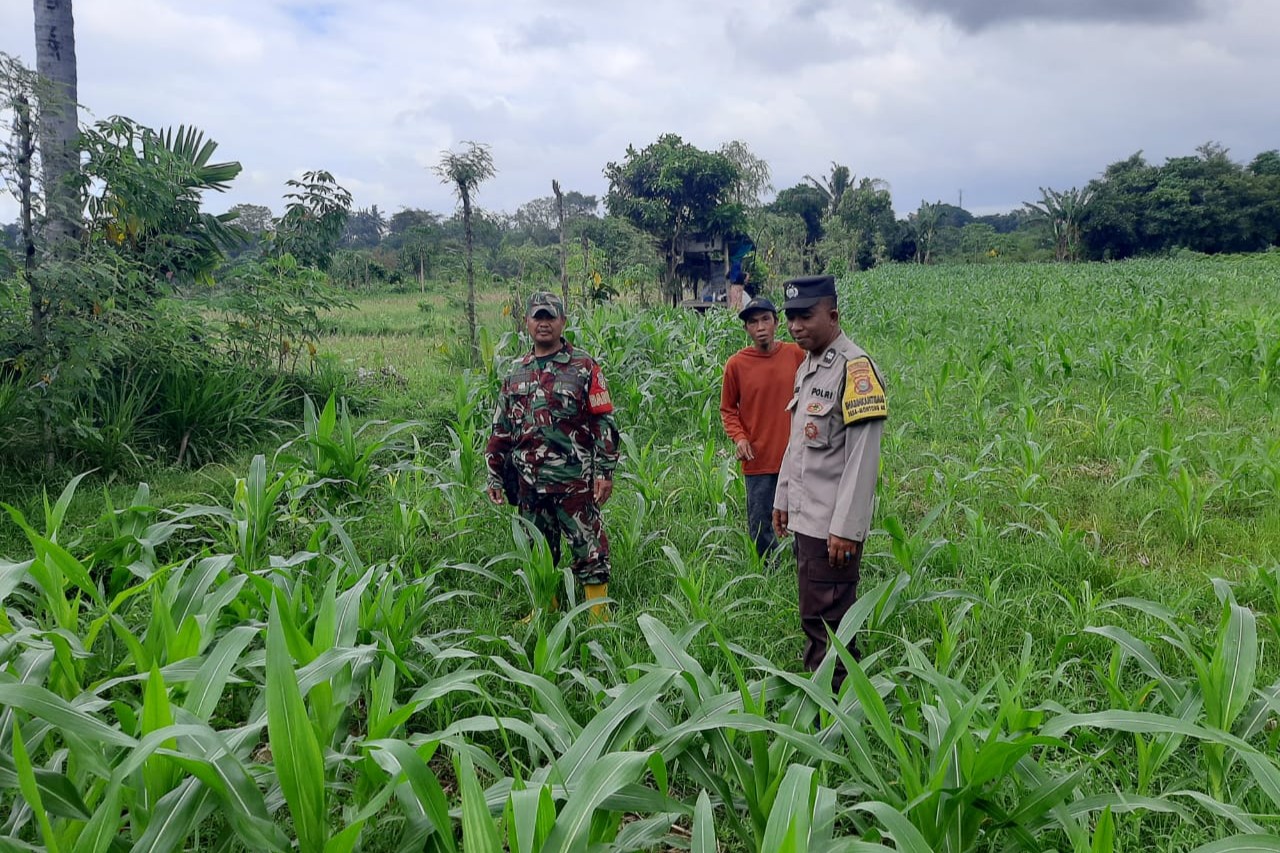 Sinergi Polisi dan Petani di Dusun Nyiur Gasing Dukung Ketahanan Pangan