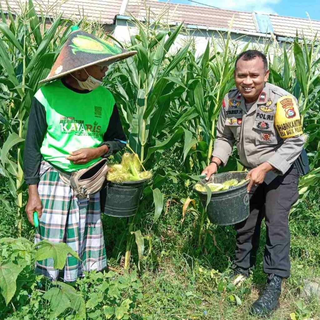 Polsek Labuapi Edukasi Warga Desa Jerneng untuk Tanam Sayur