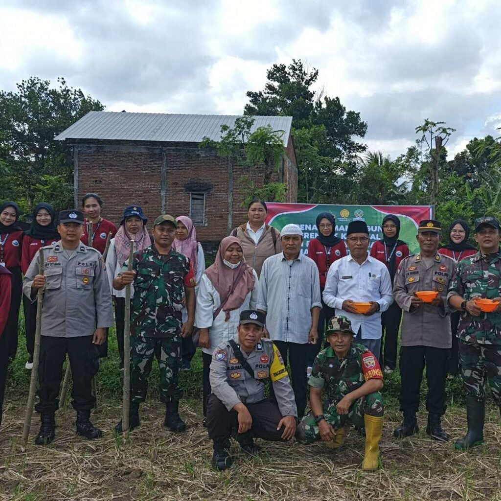 Sinergi Polsek Batulayar dan Warga Sandik Tanam Jagung Dukung Ketahanan Pangan