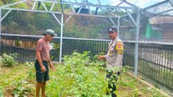 Bhabinkamtibmas Desa Mantun Dampingi Pengelolaan Pekarangan Pangan Bergizi