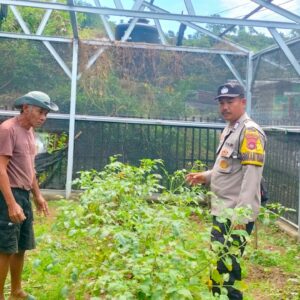 Bhabinkamtibmas Desa Mantun Dampingi Pengelolaan Pekarangan Pangan Bergizi