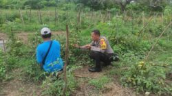 Bhabinkamtibmas Rhee Loka Sambang Desa, Apresiasi Budidaya Sayuran Warga demi Ketahanan Pangan