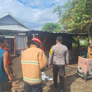 Kios Semi Permanen Terbakar, Polsek Seteluk Turun Tangan Bantu Padamkan Api dan Evakuasi