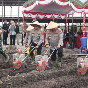 Sukseskan Ketahanan Pangan Nasional, Polda Kalteng dan Polresta Palangka Raya Tanaman Jagung di Rakumpit