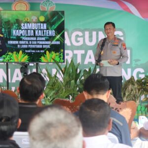 Dukung Ketahanan Pangan Nasional, Kapolda Kalteng Tanam Jagung Kuartal III di Pulang Pisau