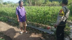 Bhabinkamtibmas Desa Benete Dampingi Warga dalam Pengelolaan Pekarangan Pangan Bergizi
