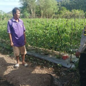 Bhabinkamtibmas Desa Benete Dampingi Warga dalam Pengelolaan Pekarangan Pangan Bergizi