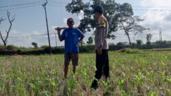 Bhabinkamtibmas Desa Kuripan Dorong Warga Optimalkan Pekarangan untuk Ketahanan Pangan