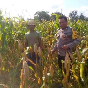 Ketahanan Pangan Dimulai dari Desa: Bhabinkamtibmas Jagaraga Dorong Pemanfaatan Lahan di Tambang Eleh