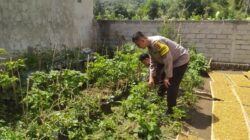 Bhabinkamtibmas Sekotong Tengah Dorong Warga Manfaatkan Pekarangan untuk Ketahanan Pangan