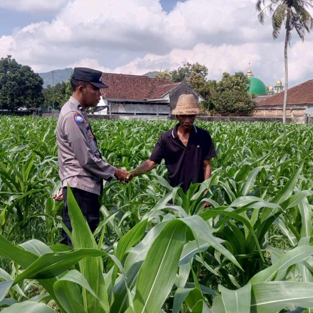 Polisi dan Warga Desa Kuripan Bersinergi Wujudkan Ketahanan Pangan Lokal