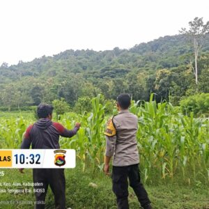 Bhabinkamtibmas Labuhan Alas Ajak Warga Manfaatkan Lahan Kering untuk Ketahanan Pangan