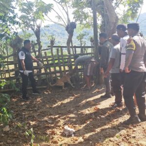 Cegah Rabies, Polsek Seteluk Dampingi Vaksinasi Hewan Peliharaan di Desa Seran