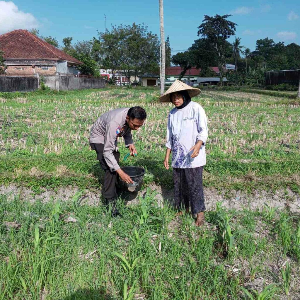 Polsek Kuripan Galakkan Pertanian Pekarangan Demi Kesejahteraan Warga
