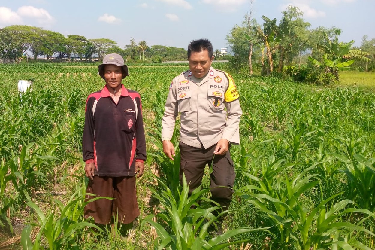 Sinergi Polisi dan Petani di Desa Jagaraga untuk Wujudkan Kemandirian Pangan