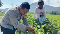 BHABINKAMTIBMAS DESA MOTENG DAMPINGI MASYARAKAT KELOLA LAHAN PANGAN KREATIF