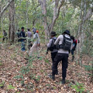 Smart patroli gabungan di Taman Nasional Tambora, TNI-Polri dan PEH cegah ilegal logging dan perburuan liar