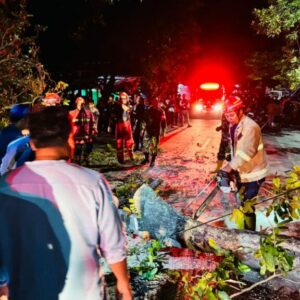 Evakuasi Pohon Tumbang di Karang Kates Berjalan Cepat