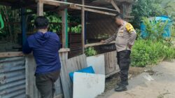 Sinergi Polri dan Warga Senggigi, Tanam Sayuran di Lahan Kosong untuk Perkuat Ekonomi Keluarga