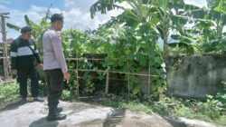 Pekarangan Produktif di Desa Perampuan: Langkah Bhabinkamtibmas Labuapi Wujudkan Kemandirian Pangan