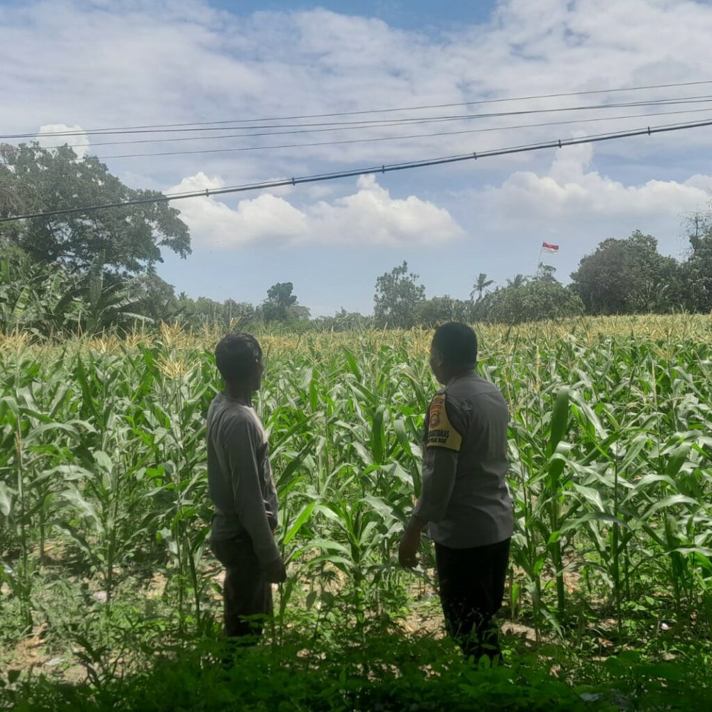 Polsek Labuapi Dorong Warga Dusun Jogot Tanam Hortikultura Guna Kemandirian Pangan