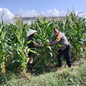 Ketahanan Pangan di Labuapi: Polisi Ajak Warga Manfaatkan Lahan Kosong