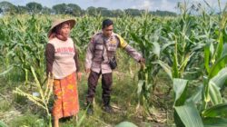 Polsek Labuapi Dorong Kemandirian Pangan Warga Karang Kebon