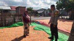 Bhabinkamtibmas Cempi Jaya Pantau Hasil Panen Warga, Dorong Semangat Ketahanan Pangan