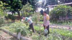 Sinergi Polri dan Petani Dusun Tegal Wujudkan Kemandirian Pangan Desa Jagaraga